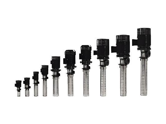 Grundfos MT 시리즈 잠수 펌프의 대안; Grundfos 수직 다단계 원심 펌프 동등